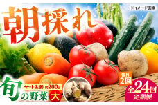 【24回定期便・月2回配送】 土佐の太陽をいっぱいに浴びた旬の野菜10〜13品目と生姜約200gのセット / 高知 土佐 旬 野菜 生姜 詰め合わせ セット 仕送り 【土佐野菜】 [ATBA017]
