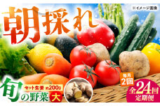 【24回定期便・月2回配送】 土佐の太陽をいっぱいに浴びた旬の野菜10〜13品目と生姜約200gのセット / 高知 土佐 旬 野菜 生姜 詰め合わせ セット 仕送り 【土佐野菜】 [ATBA017]