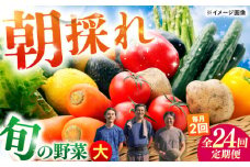 【24回定期便・月2回配送】 土佐の太陽をいっぱいに浴びた旬の野菜セット「大」10〜13品目 / 高知 土佐 旬 野菜 詰め合わせ セット 仕送り 【土佐野菜】 [ATBA018]