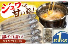 高知県産 ハダカイワシ干物 約1kg / 高知 ハダカイワシ イワシ いわし 魚 干物 冷凍 【ワクトフーズ】 [ATHF001]