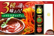ケチャップセット3種 〈リサトマトケチャップ・リサケチャップブラック・大人のナポリタン〉各1本 / ケチャップ セット リサトマト トマト ナポリタン 調味料 とまと 高知【株式会社　堀】 [ATDA009]
