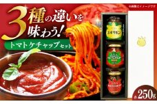 ケチャップセット3種 〈リサトマトケチャップ・リサケチャップブラック・大人のナポリタン〉各250g / ケチャップ セット リサトマト トマト ナポリタン 調味料 とまと 高知【株式会社　堀】 [ATDA009]