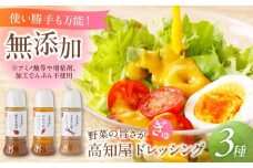 素材力 高知屋 無添加ドレッシング3本セット (人参、焼き玉ねぎ、ごまとごぼう)  【株式会社 四国健商】 [ATAF042]　国産 野菜 ドレッシング 万能ドレッシング 調味料 セット 料理 タレ 和風 洋風 万能調味料