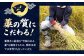 かつおのたたき カツオのたたき 鰹のたたき 戻り鰹 おすすめ 藁焼き わら焼き わらやき