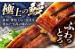 うなぎ 鰻 ウナギ  国産 うなぎ蒲焼 高知 うな重 うな丼 ひつまぶし 鰻蒲焼き