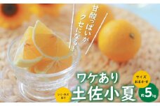 高知産 ワケあり土佐小夏 約5kg サイズお任せ(2S〜L) 〈2025年4月〜発送〉/ 高知 土佐 小夏 訳あり 柑橘 果物 フルーツ くだもの みかん 訳アリ わけあり【株式会社　四国健商】 [ATAF020]
