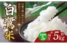 【3回定期便】 新米 R7年度産 農薬節減！ 白鷺米 コシヒカリ 各約5kg 合計約15kg / 高知 米 お米 精米 　【津ノ宮農園】 [ATBV012]