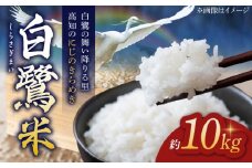 【先行予約】 農薬節減！ R7年度産 白鷺米 にじのきらめき 約10kg ＜2025年9月中旬〜発送＞ / 高知 米 お米 精米 　【津ノ宮農園】 [ATBV016]