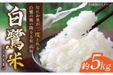 【先行予約】 農薬節減！ R7年度産 白鷺米 コシヒカリ 約5kg ＜2025年9月中旬〜発送＞ / 高知 米 お米 精米　【津ノ宮農園】 [ATBV019]