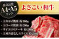 高知から美味しいお肉の玉手箱! 化粧箱入り 総計約840g 牛肉 ステーキ 焼肉 切り落とし 国産 A4 A5 