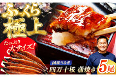 極上国産うなぎ四万十桜 蒲焼き5尾 たっぷり大サイズ / 国産 高知 四万十 うなぎ ウナギ 鰻 蒲焼き うな重 惣菜 贅沢 【有限会社もりた】 [ATHE004]