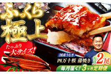 【3回定期便】極上国産うなぎ四万十桜 蒲焼き2尾 たっぷり大サイズ / 国産 高知 四万十 うなぎ ウナギ 鰻 蒲焼き うな重 惣菜 贅沢 【有限会社もりた】 [ATHE005]