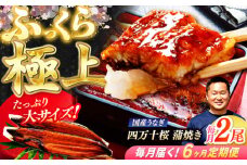 【6回定期便】 極上国産うなぎ四万十桜 蒲焼き2尾 たっぷり大サイズ / 国産 高知 四万十 うなぎ ウナギ 鰻 蒲焼き うな重 惣菜 贅沢 【有限会社もりた】 [ATHE008]