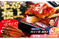 【6回定期便】 極上国産うなぎ四万十桜 蒲焼き3尾 たっぷり大サイズ / 国産 高知 四万十 うなぎ ウナギ 鰻 蒲焼き うな重 惣菜 贅沢 【有限会社もりた】 [ATHE010]