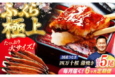 【6回定期便】極上国産うなぎ四万十桜 蒲焼き5尾 たっぷり大サイズ / 国産 高知 四万十 うなぎ ウナギ 鰻 蒲焼き うな重 惣菜 贅沢 【有限会社もりた】 [ATHE012]