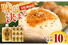 しょうが味噌　約100g×10パック【Japan Ginger 株式会社】 しょうが 国産 高知 調味料 味噌汁 みそ汁 小分け パウチ [ATFD003]