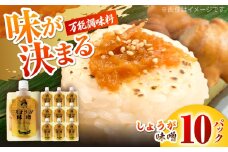しょうが味噌　約100g×10パック【Japan Ginger 株式会社】 しょうが 国産 高知 調味料 味噌汁 みそ汁 小分け パウチ [ATFD003]