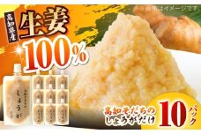 高知そだちのしょうがだけ 約50g×10パック 【Japan Ginger 株式会社】 しょうが ショウガ 生姜 国産 高知 調味料 無添加 食品添加物不使用 パウチ [ATFD004]