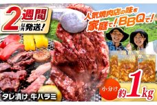 タレ漬け 牛ハラミ 約250g×4パック 計約1kg【焼肉寛十郎】小分け 個包装 味付け タレ たれ 高知県 お肉 牛肉 贅沢 焼き肉 BBQ バーベキュー 訳あり わけあり ワケアリ はらみ [ATDO014]