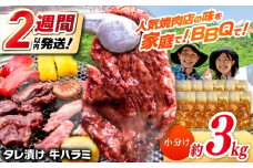 タレ漬け 牛ハラミ 約250g×12パック 計約3kg【焼肉寛十郎】小分け 個包装 味付け タレ たれ 高知県 お肉 牛肉 贅沢 焼き肉 BBQ バーベキュー 訳あり わけあり ワケアリ はらみ [ATDO016]