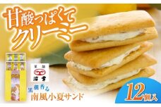 南風小夏サンド 12個入 / 高知 お菓子 おやつ 小夏 サブレ 手土産 贈答 【株式会社 浜幸】 [ATDY002]