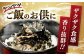 のり 海苔 味のり 味付き 味海苔 nori 鰹 かつお カツオ 有明海産 有明海 高知海苔 高知 四国 高知市 高知県