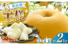 【先行予約】 新高梨 約2kg（3〜4玉） 〈2025年9月20日〜10月末発送〉 / 高知 針木 新高梨 梨 和梨 果物 フルーツ デザート 【川渕果樹園】 [ATHX001]