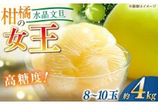 【先行予約】 水晶文旦 約4kg（8〜10玉） 〈2025年12月20日〜1月末発送〉 / 高知 文旦 果物 柑橘 フルーツ デザート 【川渕果樹園】 [ATHX004]
