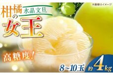 【先行予約】 水晶文旦 約4kg（8〜10玉）栽培期間中農薬不使用 〈2025年12月20日〜1月末発送〉 / 高知 文旦 果物 柑橘 フルーツ デザート 【川渕果樹園】 [ATHX004]