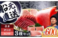 天然本鮪 大トロ 中トロ 赤身 セット（各約200g） / 高知 魚介 海鮮 鮮魚 魚 マグロ まぐろ 鮪 本鮪 新鮮 天然 刺身 寿司 セット 【株式会社Dorago】 [ATAM055]