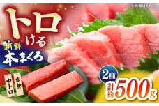 本まぐろ 中トロ 赤身 各約250g 合計約500g 【株式会社 七和】 / まぐろ 鮪 赤身 あかみ トロ 中トロ 刺身 さしみ まぐろトロ まぐろ赤身 高級 セット 本鮪 冷凍 海鮮 魚介 魚 柵 高知県 高知市 養殖 [ATAX029]