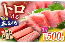 本まぐろ 大トロ 中トロ 赤身 合計約500g 【株式会社 七和】　/ まぐろ 鮪 赤身 あかみ トロ 中トロ 大トロ 刺身 さしみ まぐろトロ まぐろ赤身 高級 セット 本鮪 冷凍 海鮮 魚介 魚 柵 高知県 高知市 養殖 [ATAX030]