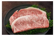 土佐黒牛 サーロイン ステーキ 約400g（約200g×2）/ 贈答用 黒牛 土佐 和牛 牛 肉 お肉 ウデ モモ バラ 食品 冷凍 高知 【高知県食肉センター株式会社】 [ATFC039]