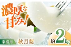 【先行予約】 川渕果樹園 秋月梨 約2kg 家庭用 〈2025年10月～発送〉 / 梨 なし ナシ 果物 フルーツ デザート 秋 甘い ジューシー 【株式会社Dorago】 [ATAM058]