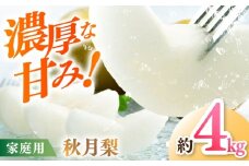 【先行予約】 川渕果樹園 秋月梨 約4kg 家庭用 〈2025年10月～発送〉 / 梨 なし ナシ  果物 フルーツ デザート 秋 甘い ジューシー 【株式会社Dorago】 [ATAM059]