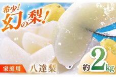 【先行予約】 川渕果樹園 八達梨 約2kg 家庭用 〈2025年10月～発送〉 / 梨 なし ナシ 果物 フルーツ デザート 秋 甘い ジューシー 【株式会社Dorago】 [ATAM060]