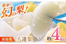 【先行予約】 川渕果樹園 八達梨 約4kg 家庭用 〈2025年10月～発送〉 / 梨 なし ナシ 果物 フルーツ デザート 秋 甘い ジューシー 【株式会社Dorago】 [ATAM061]