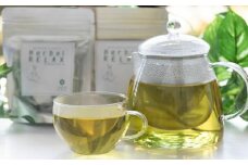 さわやかハーブティー 6種×4 詰め合わせセット / ティーバッグ ティーパック ハーブ お茶 茶 ミント レモン ローズマリー ジンジャー 生姜 詰め合わせ セット  【GREEN BASE】 [ATGY004]