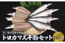 魚 干物 室戸 トロ カマス 10枚 海洋深層水 仕込み 冷凍便 焼き魚 ギフト 贈答用