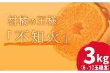 岡村農園直送 不知火 3kg |  期間限定 農家直送 大人気 しらぬい 柑橘 デコポン 化粧箱入り 贈答用 秀品 デコポン ふるさと納税 室戸市 人気 ランキング 上位 みかん ミカン 高知県 室戸