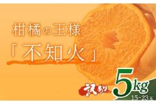訳あり 岡村農園直送 不知火 5kg | 果汁たっぷりの 完熟 デコポン 数量限定 期間限定 農家直送 大人気 しらぬい 柑橘 デコポン 傷ありデコポン ふるさと納税 果物 フルーツ 人気 ランキング 上位 みかん ミカン 傷あり 規格外 大小混合 高知県 室戸市