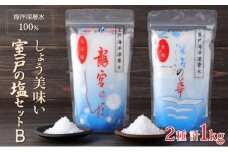 しょう美味い室戸の塩セットＢ 計1000ｇ 調味料 塩 塩分 熱中症対策 海洋深層水使用 天日塩 結晶 うまみ バーベキュー BBQ キャンプ グランピング おにぎり 天ぷら フライドポテト かけて美味しい