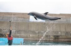 浅瀬ふれあい体験１名（中学生以上）
