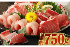 船元が直送! 厳選 天然 マグロ 3種 750g以上 | ミナミマグロ鮪250g メバチ鮪250g ビンチョウ鮪400g 南 目鉢 鬢長 セット まぐろ 食べ比べ みなみまぐろ めばちまぐろ びんちょうまぐろ ワケアリ わけあり 訳あり 刺身 さしみ 刺し身 冷凍 漬け 海鮮 丼 父の日 高知県 室戸市