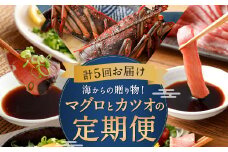 【定期便 5回】海からの贈り物 | マグロ と カツオ の 定期便 海鮮 鮪 鰹 ネギトロ  刺身 海産物 魚介類 鮪 まぐろたたき 魚 高知県 海鮮 冷凍 タカシン 定期便 海鮮定期便 人気定期便 ランキング お楽しみ 頒布会 ふるさと納税 定期便 美味しい 惣菜 お取り寄せ おさしみ 天然本マグロ 藁焼きかつおのたたき 本場 高知県 室戸市 10万円 100000円 頒布会