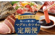 定期便 3回 海からの贈り物 ｜ マグロ と カツオ の 定期便 海鮮 鮪 鰹 定期 セット まぐろ カツオのたたき ネギトロ 中トロ 刺身 海鮮 鰹 冷凍 魚 海産物 魚介類 高知県 まぐろたたき 鮪 藁焼き わら焼き タカシン定期便 海鮮定期便 3ヶ月 頒布会 頒布会