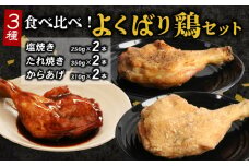 ３種類の味比べ！初音のよくばり鶏セット 肉料理 鶏肉 鶏もも塩 鶏ももたれ 簡単調理 クリスマス 骨付き肉 人気 料理 セット お正月 イベント