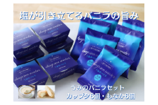 【TVで紹介されました！】室戸海洋深層水使用 うみのバニラセット 12個入り 塩 バニラ アイスクリーム もなか 最中 カップアイス アイスミルク 国産乳使用 厚切りもなか ご当地スイーツ 人気 お取り寄せ グルメ ギフト プレゼント お中元 おやつ 家族向け 高知県 室戸市 松崎冷菓