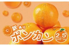【訳あり】人気の柑橘室戸産ポンカン２．５ｋｇ