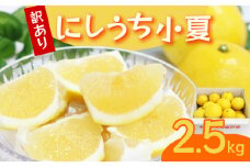 【訳あり】室戸 小夏 2.5kg | 柑橘 フルーツ 果物 期間限定 旬の果物 ご家庭用 生産者 農家 直送 5000 円 高知県 室戸市